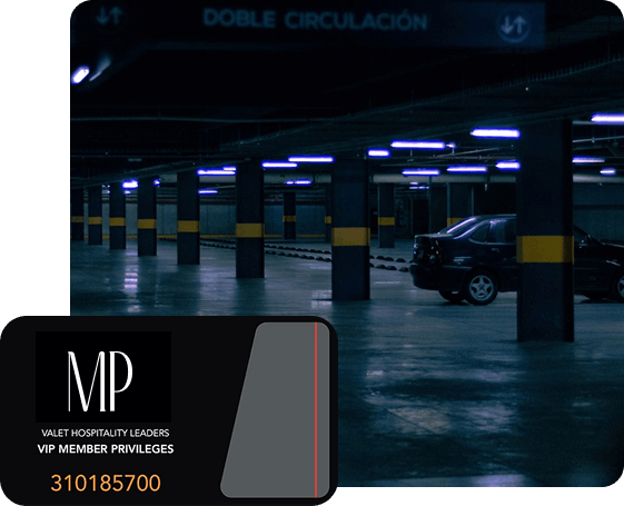 VIP Program
