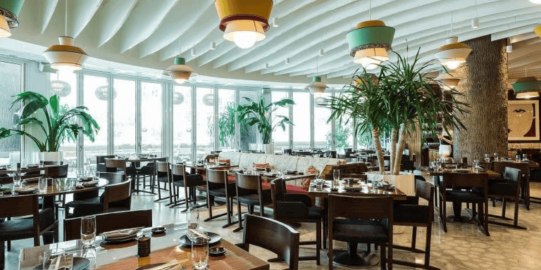 Novikov Miami
